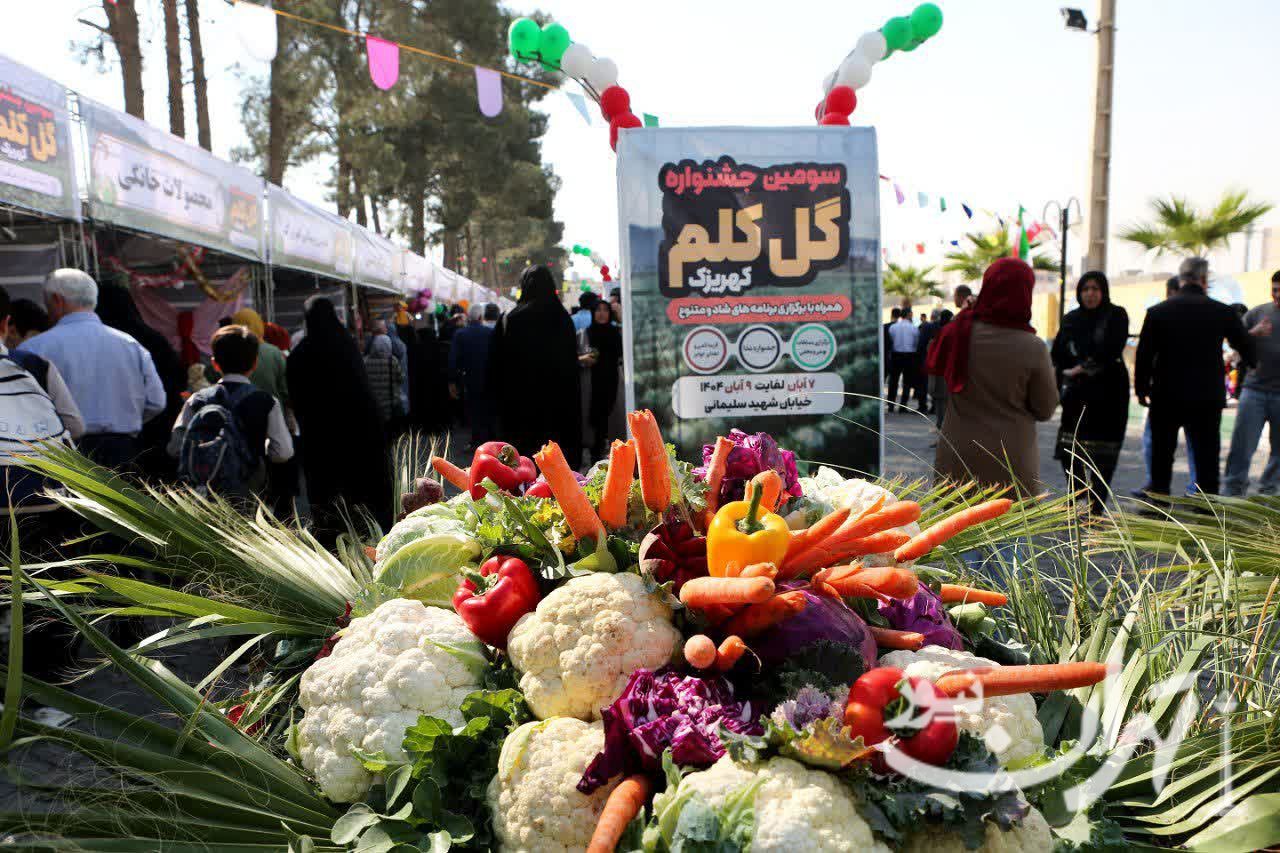برگزاری آیین افتتاحیه سومین جشنواره گلکلم کهریزک