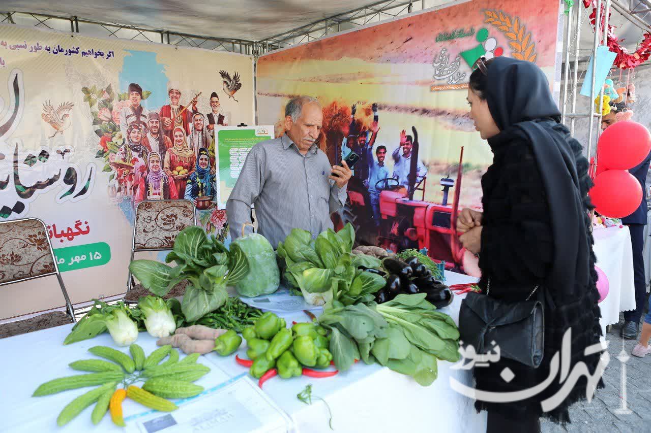برگزاری آیین افتتاحیه سومین جشنواره گلکلم کهریزک