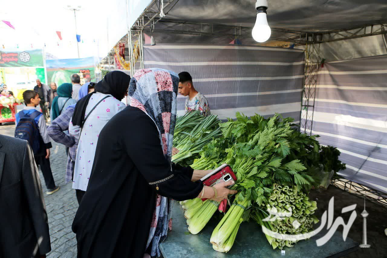 برگزاری آیین افتتاحیه سومین جشنواره گلکلم کهریزک