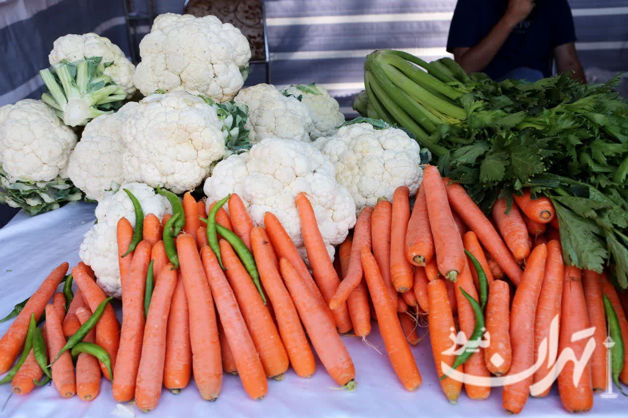 برگزاری آیین افتتاحیه سومین جشنواره گلکلم کهریزک