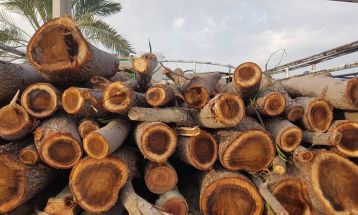 کشف ۲ تن چوب قاچاق در شهرستان بهارستان