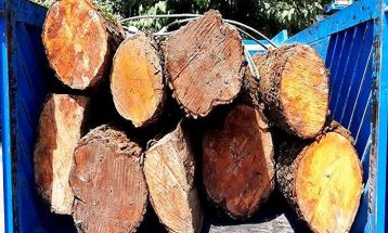 کشف سه تُن چوب قاچاق در شهرستان بهارستان